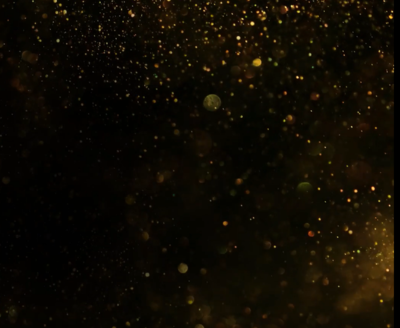 brand logo animation toronto